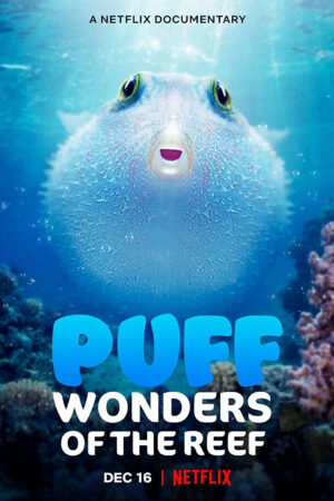 Puff: Rạn san hô kỳ diệu
